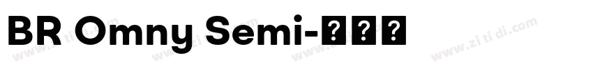 BR Omny Semi字体转换